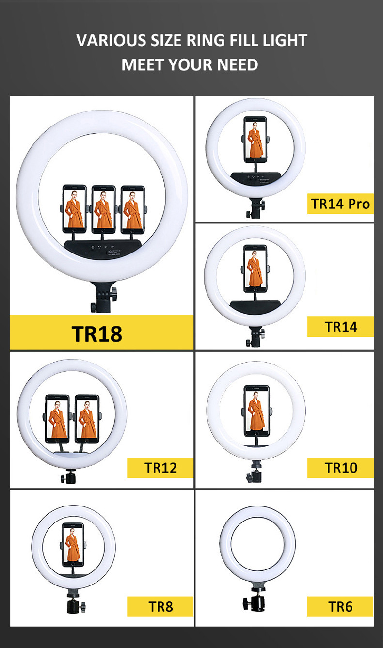 TR6 Description (6)